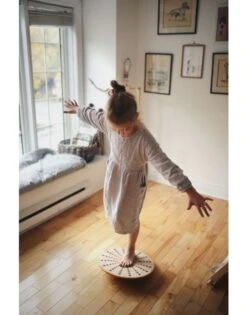 Balance Disk -Children Learning Toy Store balance disk toys louise kool galt 353128