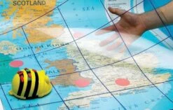 Bee-Bot And Blue-Bot Mats - Clear Grid