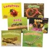 Creepy Critters Rhyme Along Book - Set Of 6 1 Creepy Critters Rhyme Along Book - Set Of 6 -Children Learning Toy Store creepy critters rhyme along book set of 6 louise kool 364882