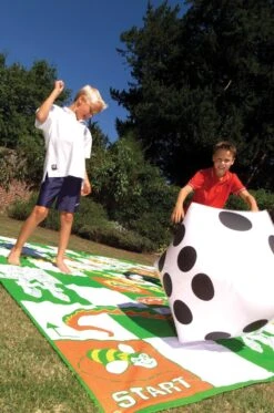Giant Snakes And Ladders