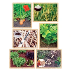 Growing Up Green Healthy Eating Puzzles