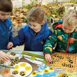 Honey Bee Number Stones & Activity Cards