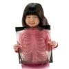 Human X-Rays - Set Of 18 -Children Learning Toy Store human x rays set of 18 louise kool 796374