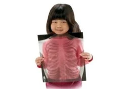 Human X-Rays - Set Of 18