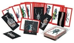 Investigating Insects From Different Angles