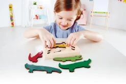 Layered Wooden Puzzles