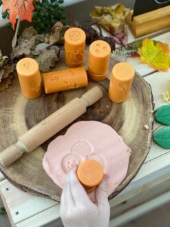 Let's Roll - Seasons Dough Rollers 15 Let's Roll - Seasons Dough Rollers -Children Learning Toy Store lets roll seasons dough rollers louise kool galt 276315