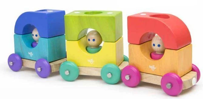 Magnetic Tegu Tram 3 Magnetic Tegu Tram