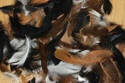 Natural Feathers