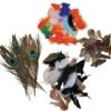 Rainbow & Natural Feathers Set Of 4 -Children Learning Toy Store rainbow natural feathers set of 4 louise kool 774452