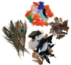 Rainbow & Natural Feathers Set Of 4