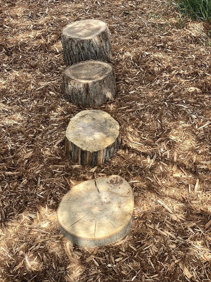 Stepping Logs 4 Stepping Logs - Image 2