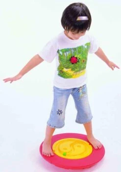 Tai Chi Balance Board