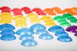 Transparent Tactile Shells -Children Learning Toy Store transparent tactile shells toys louise kool 131896