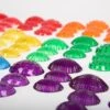 Transparent Tactile Shells -Children Learning Toy Store transparent tactile shells toys louise kool 847318