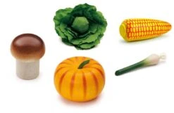 Vegetable Set Of 5
