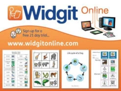 Widgit Online Individual Annual Subscription