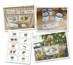 Widgit Online Individual Annual Subscription -Children Learning Toy Store widgit online individual annual subscription supplies widgit 298420