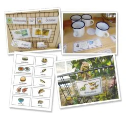 Widgit Online Small Organization Annual Subscription -Children Learning Toy Store widgit online small organization annual subscription supplies widgit 393733